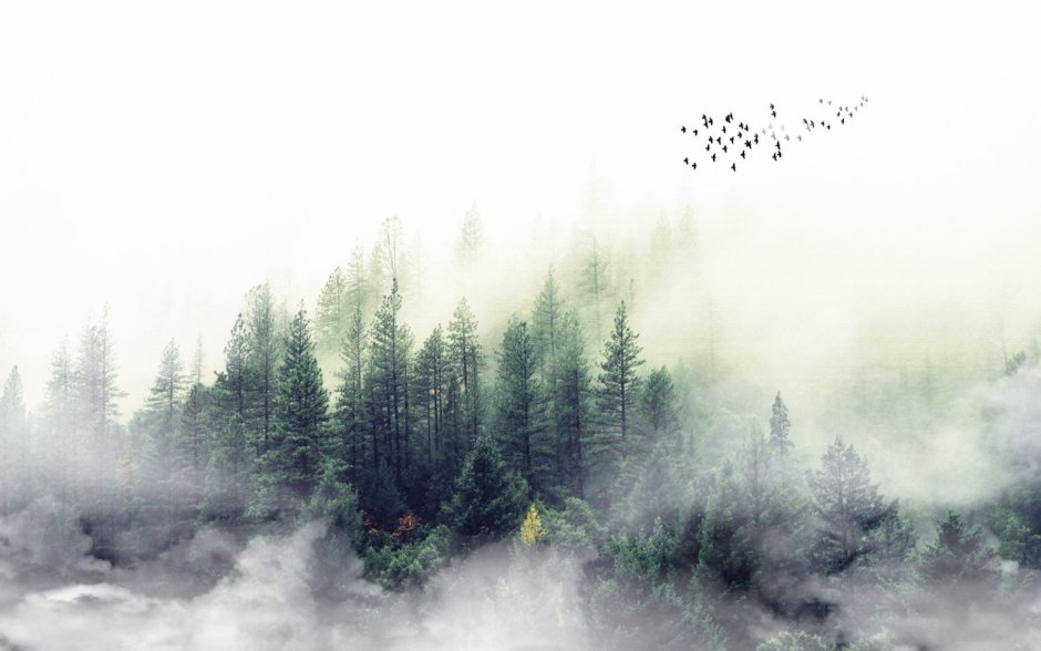 Аффреско лес туман