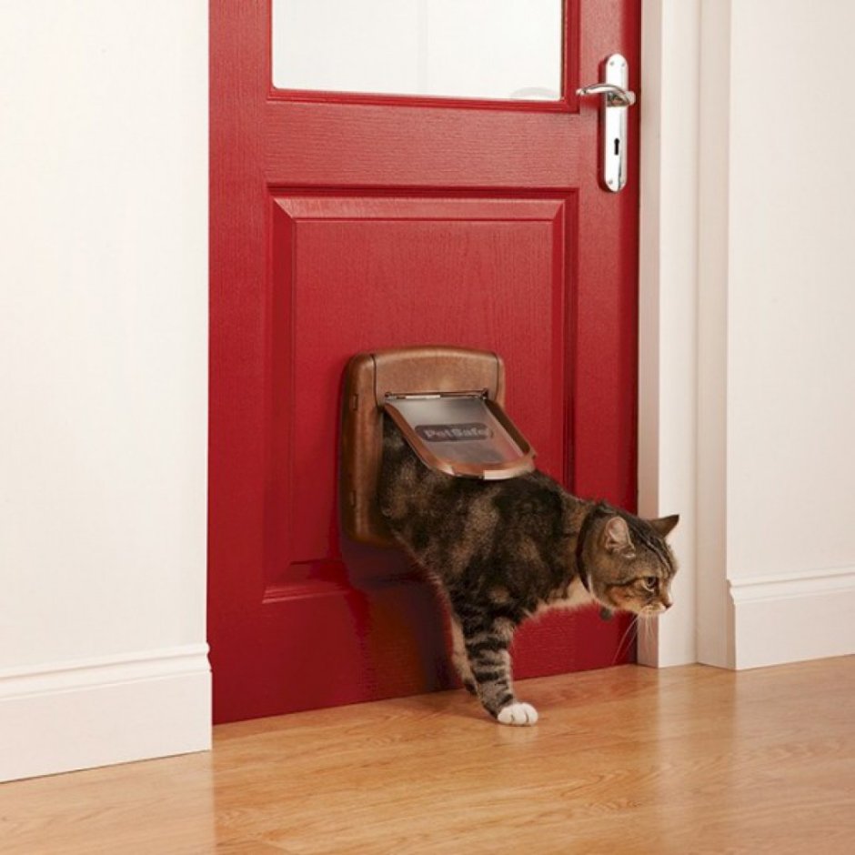 Дверной ЛАЗ для кошки