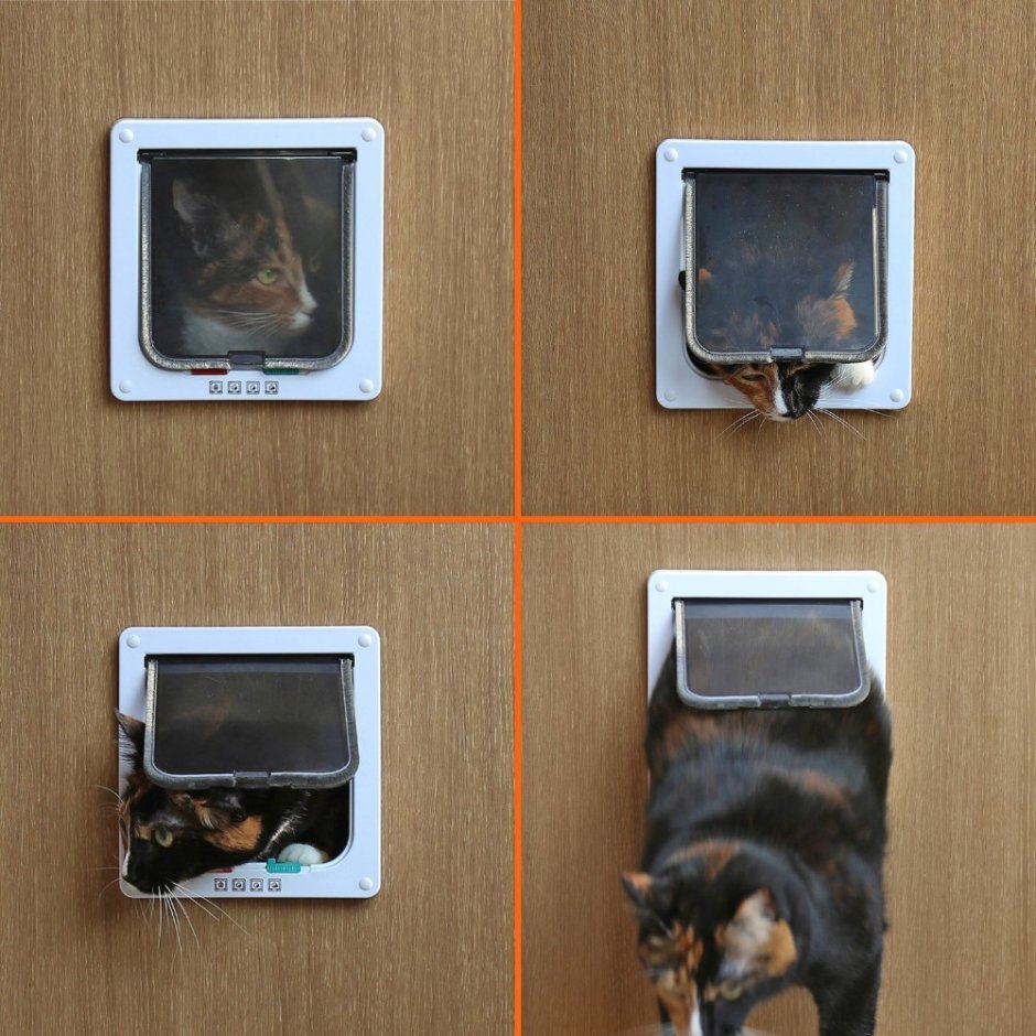 Дверка для котов