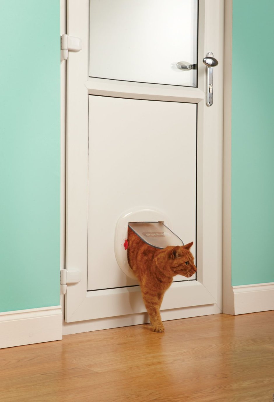 Дверь для кота