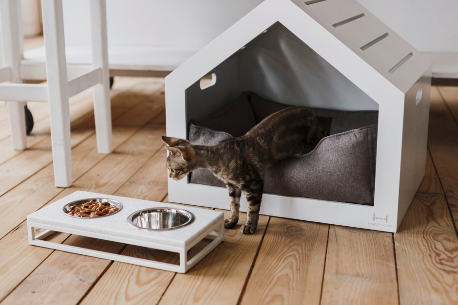 Стильные домики для кошек в интерьере