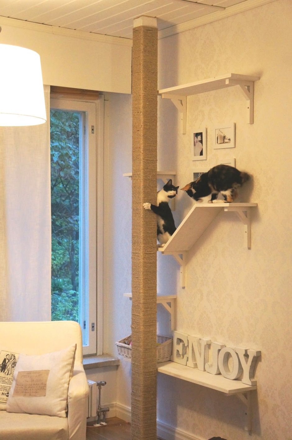 Уголок для кошки в квартире