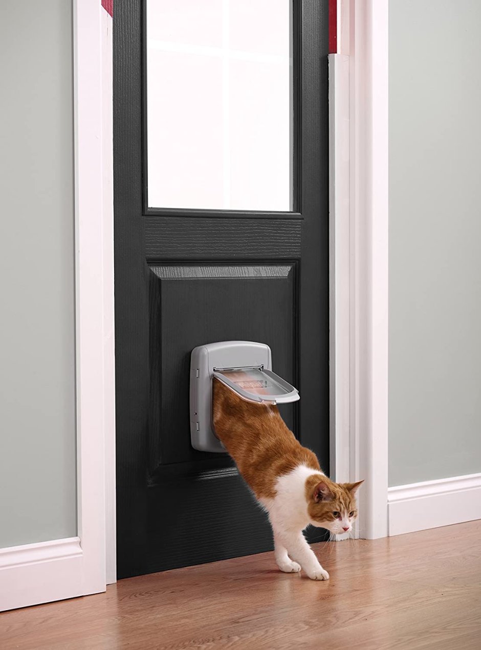 Дверка для кошек в дверь
