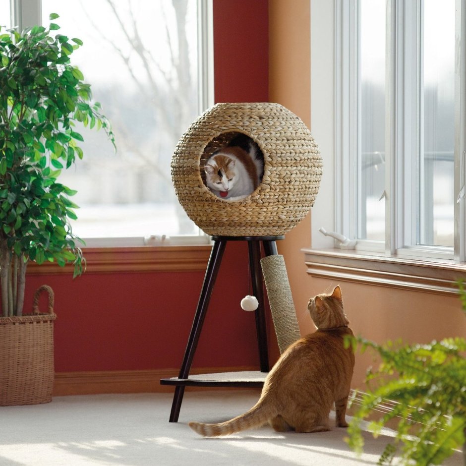 Дизайнерские домики для кошек