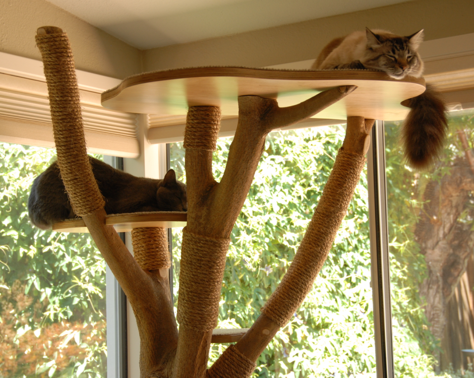 Кошачья лазалка дерево