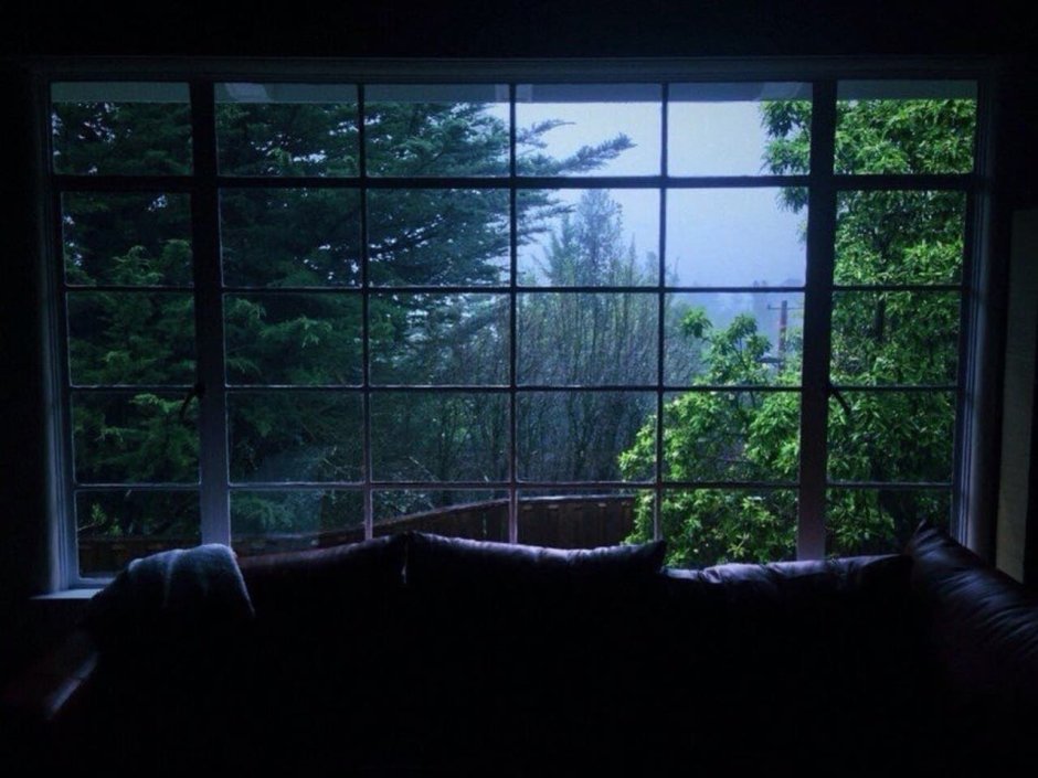 Tree at my Window by Robert Frost