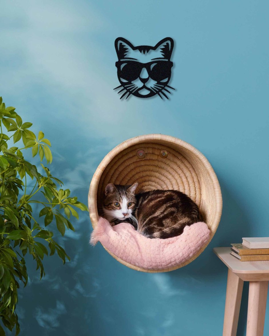 Домик для кошек