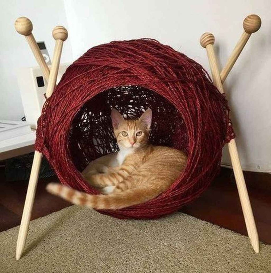 Домик для кошки из картонной коробки