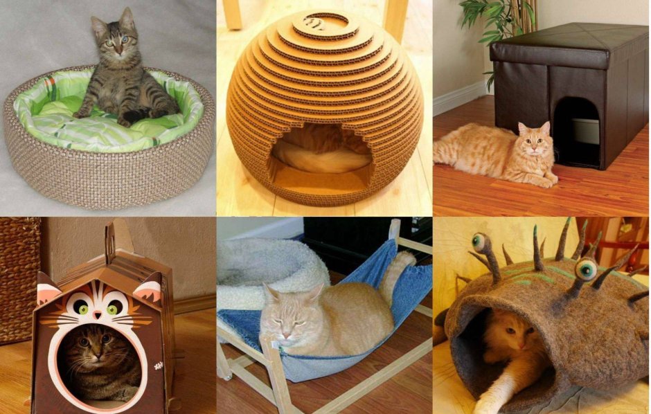 Настенный комплекс для кошек