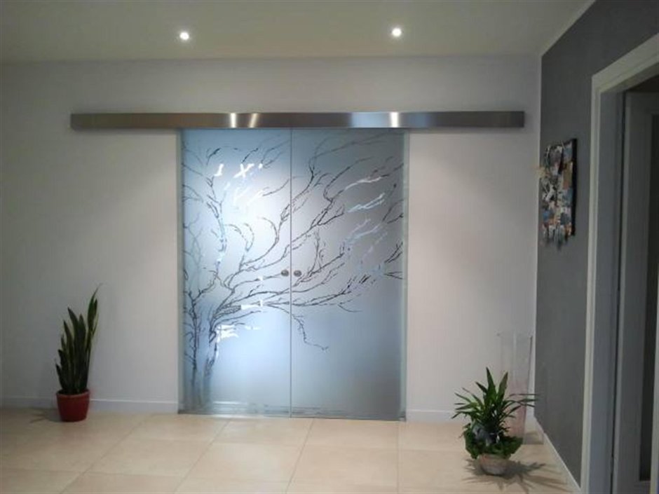 Дверь Glass Sliding Door