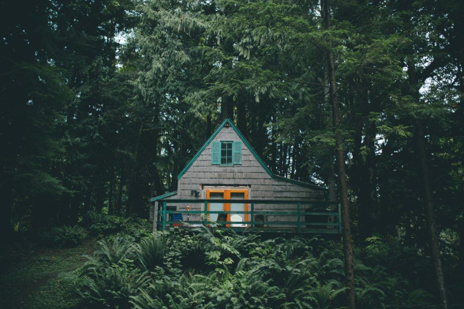 Уединенный домик в лесу
