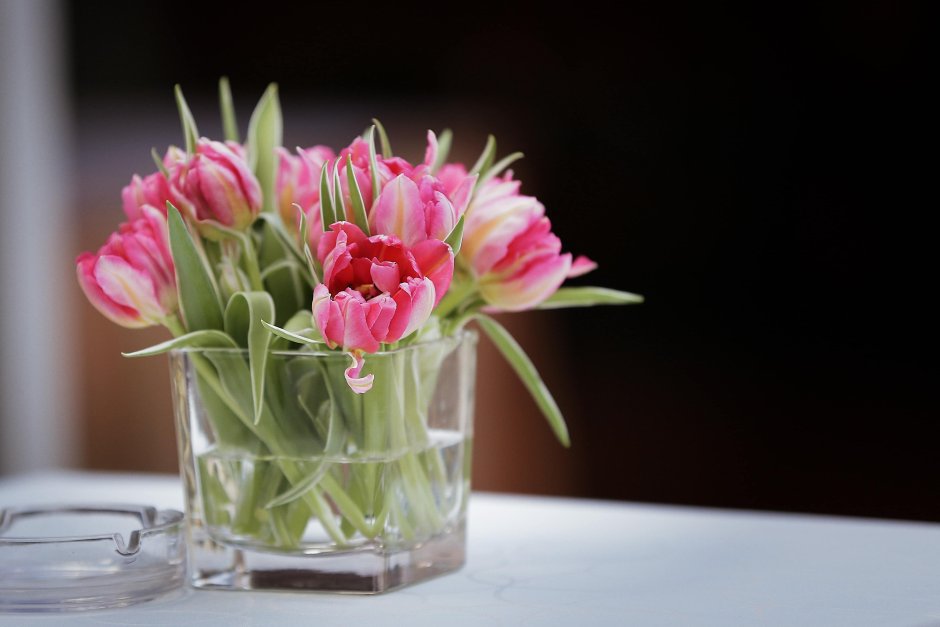 Белые тюльпаны в вазе