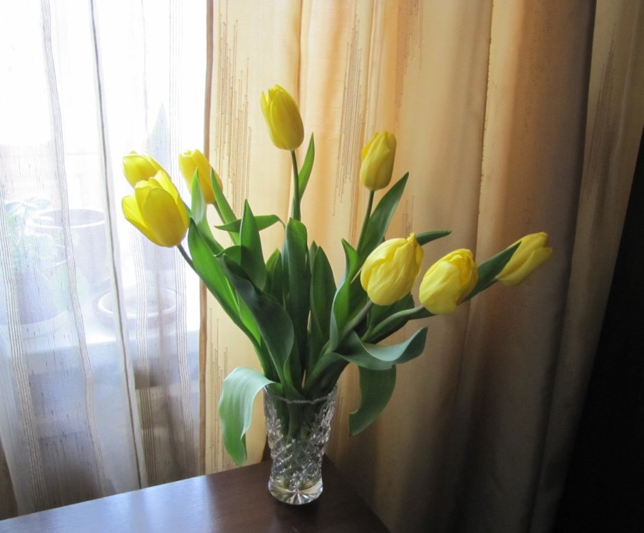 Тюльпаны в доме (59 фото)