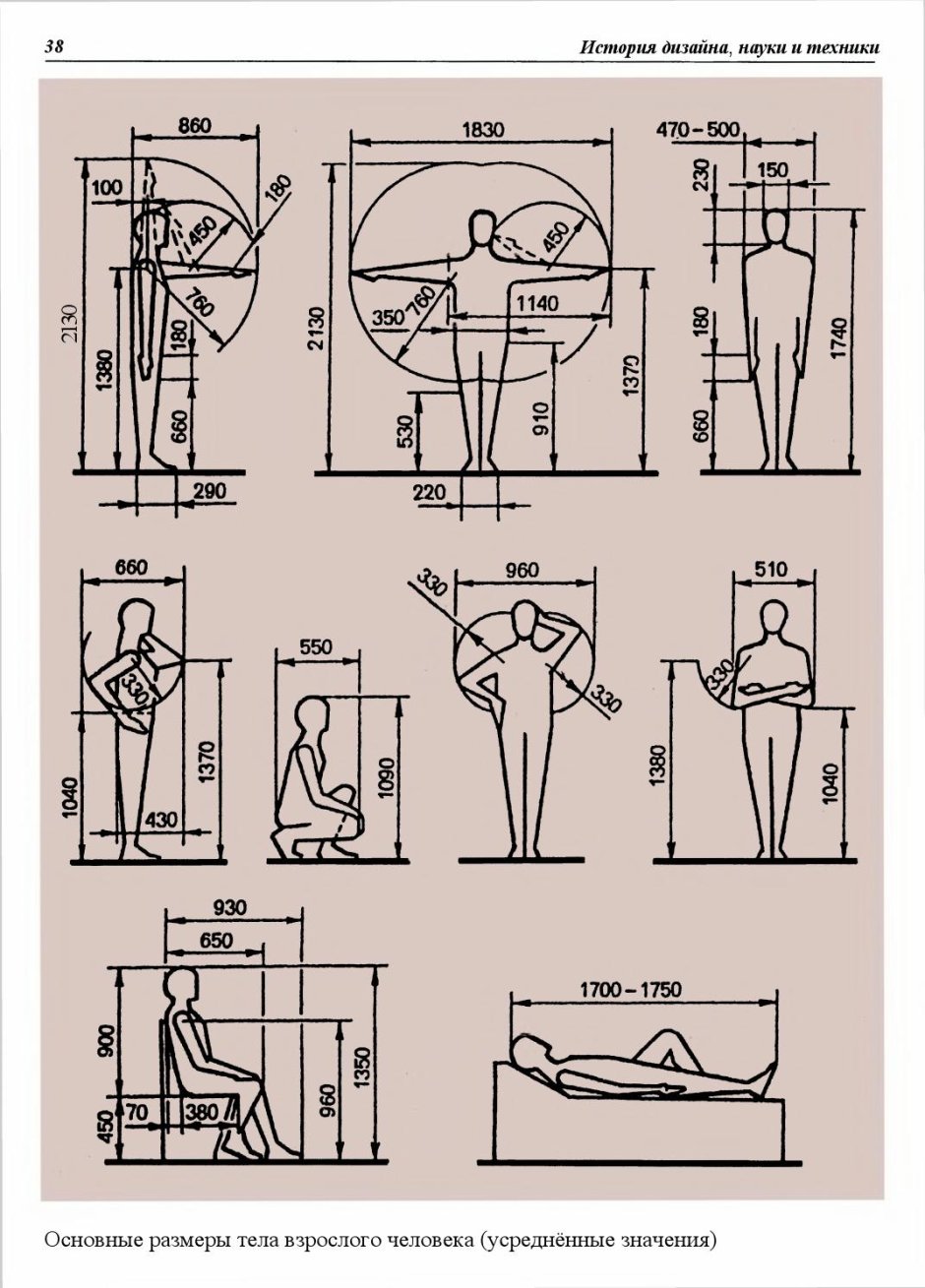 Антропометрия и эргономика в интерьере