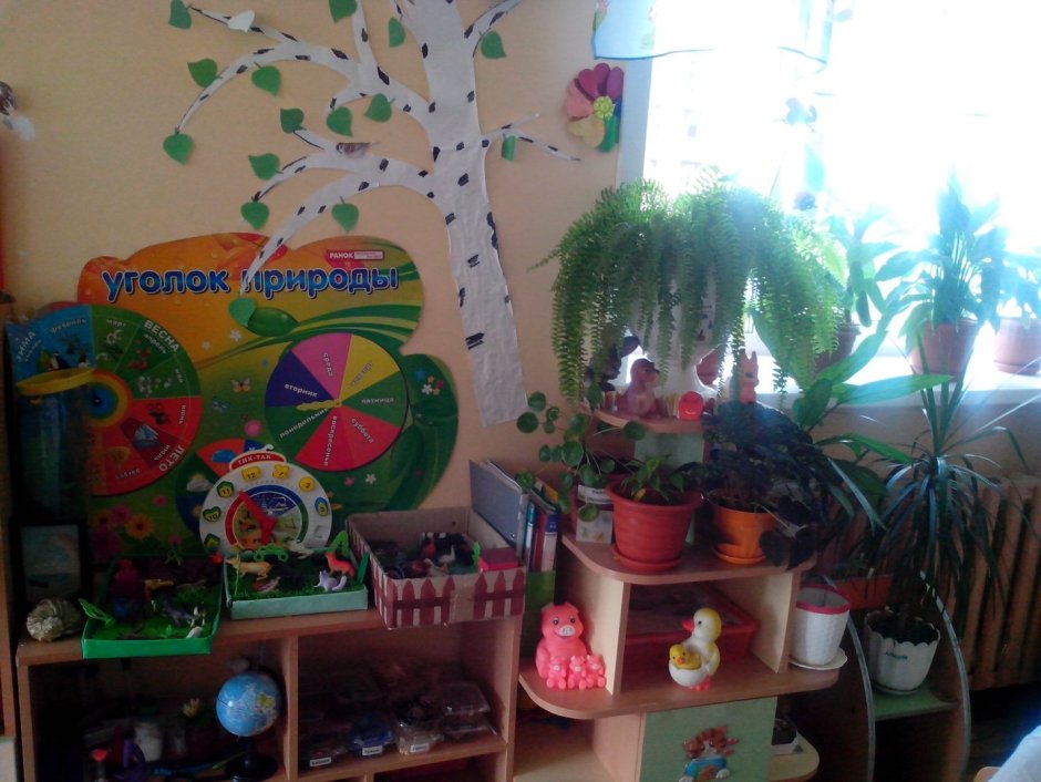 Центр природы в детском саду