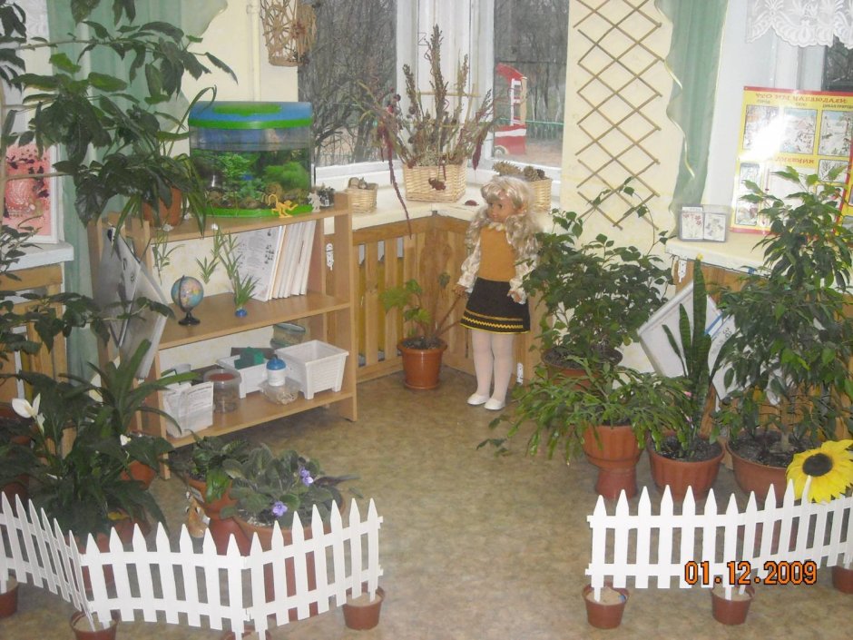 Уголок природы в коридоре детского сада