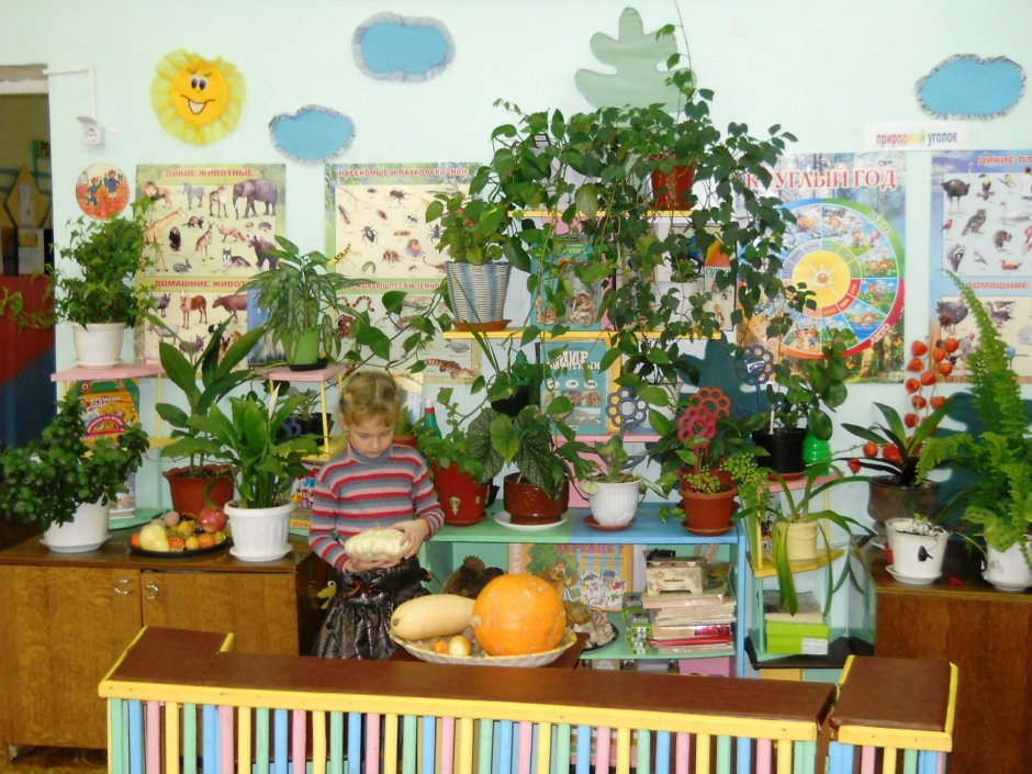 Уголок природы в детском саду