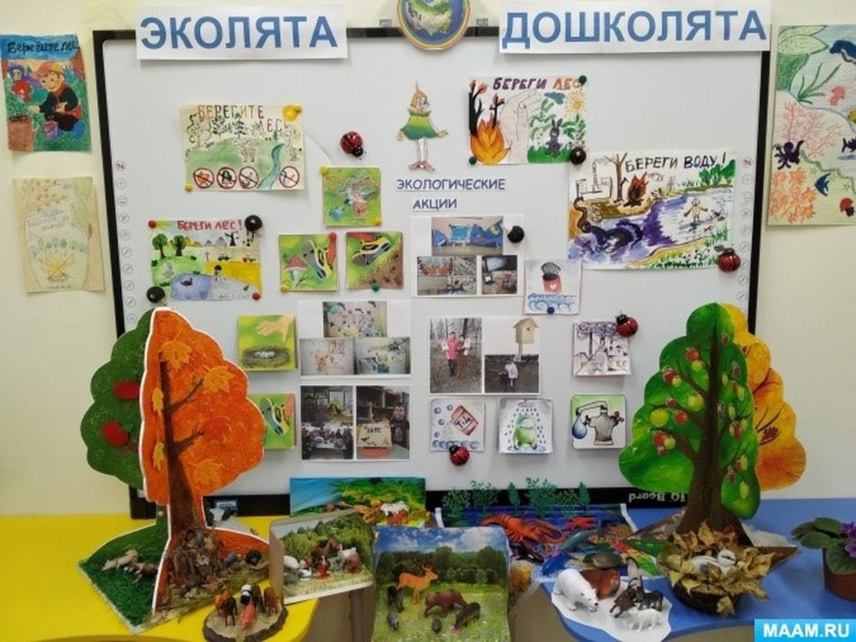 Экологический уголок в детском саду