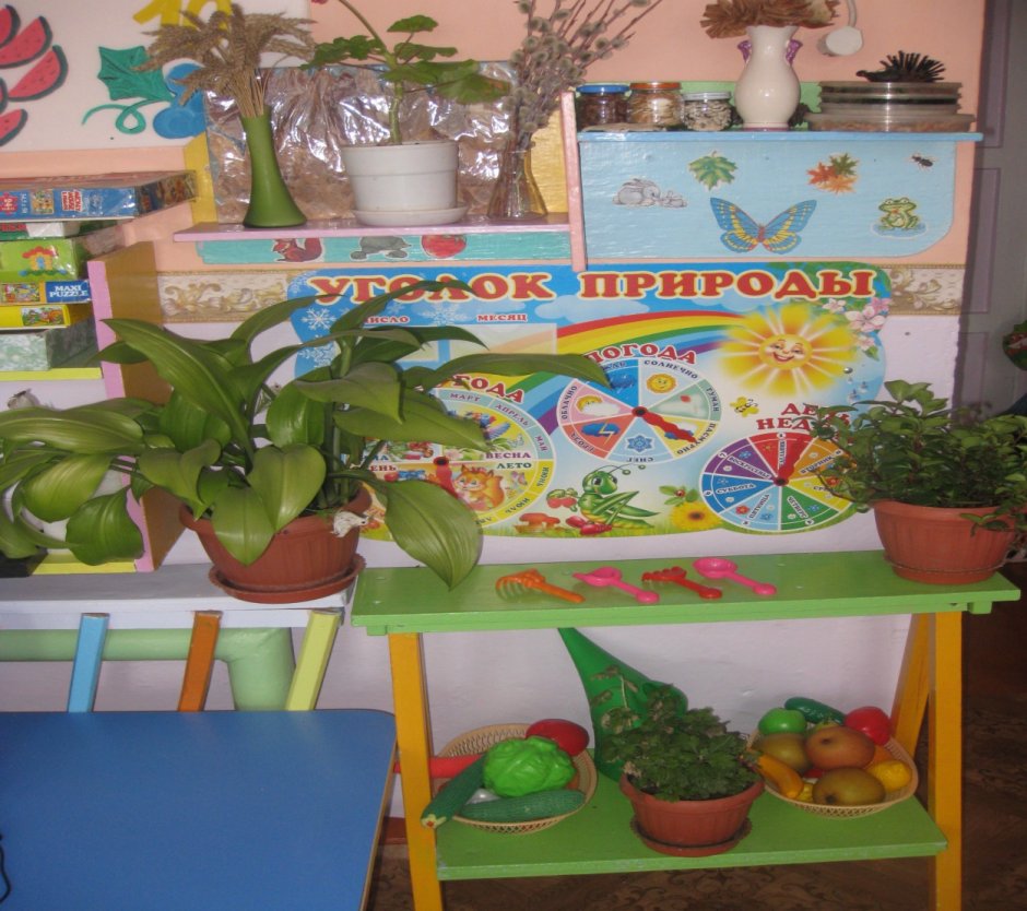 Природный уголок в детском саду цветы