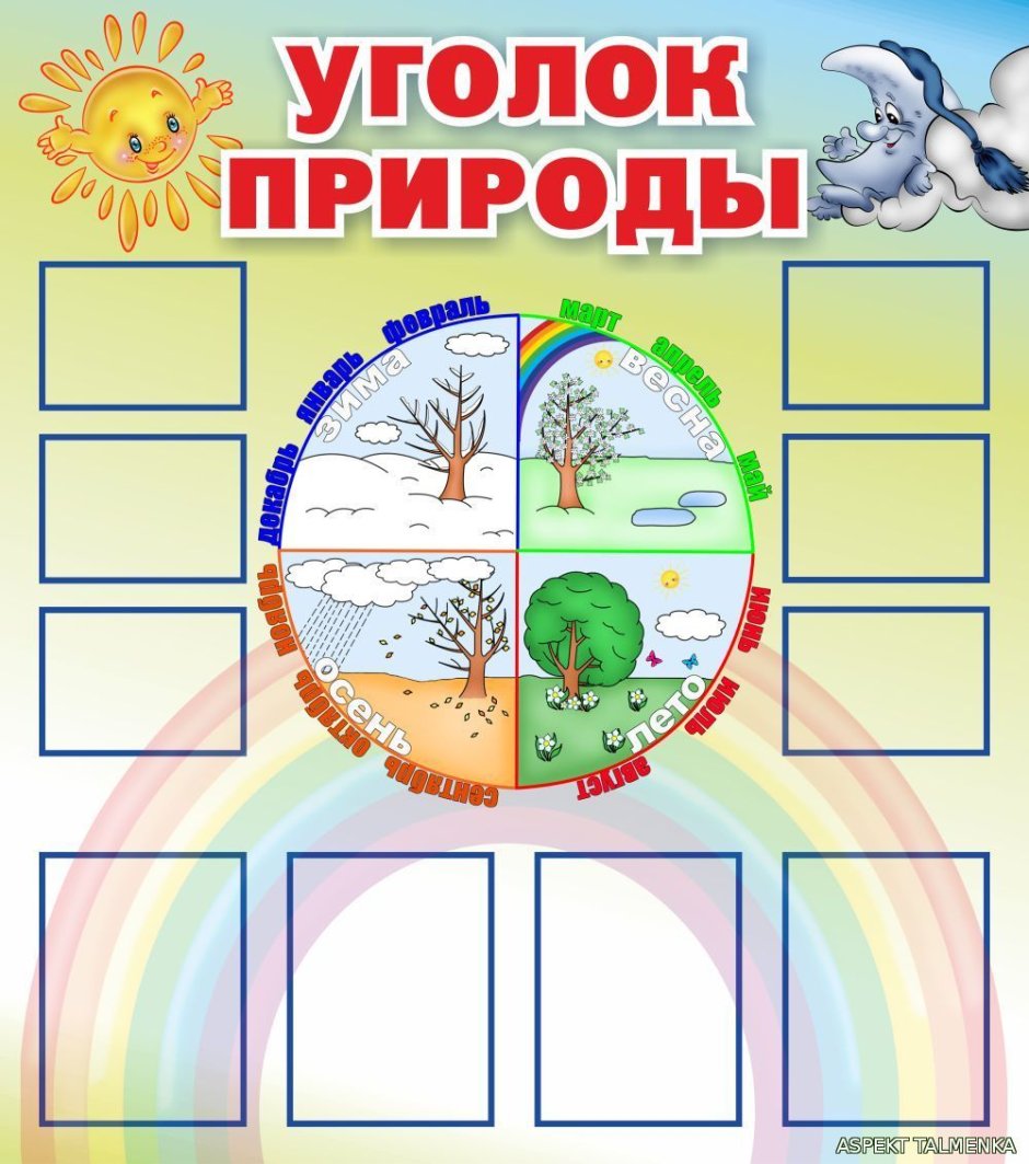 Уголок природы в школе