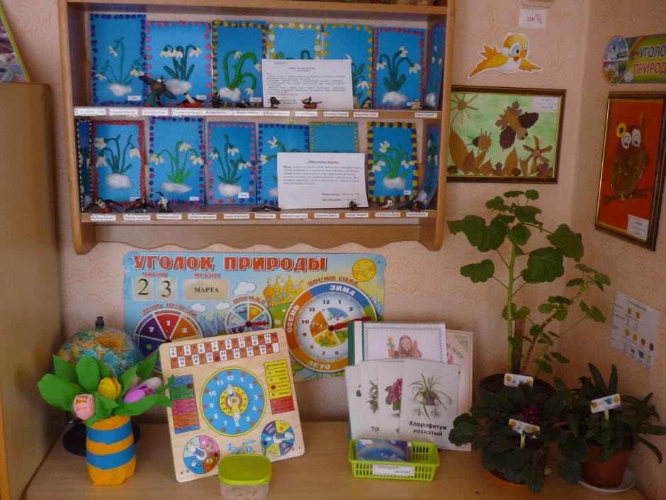 Конкурс уголков природы в детском саду