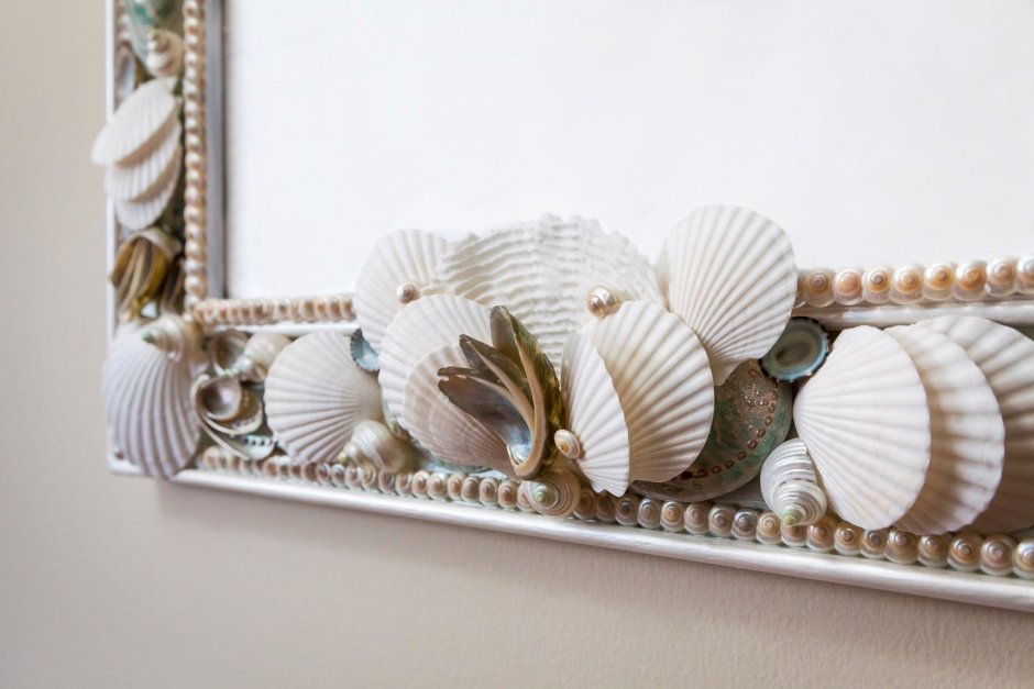 Shell Glass