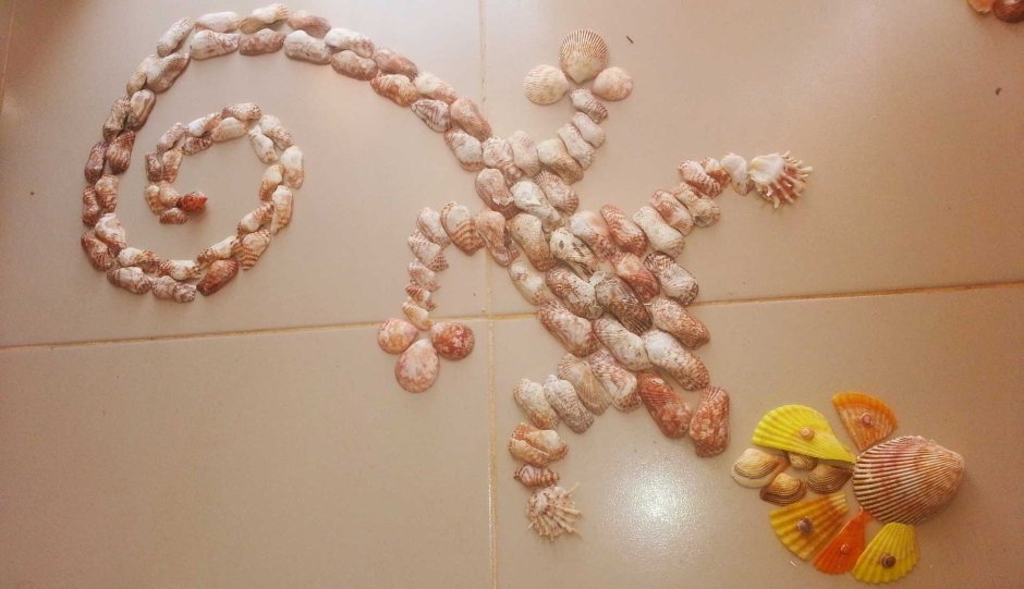 Декор из ракушек на стену