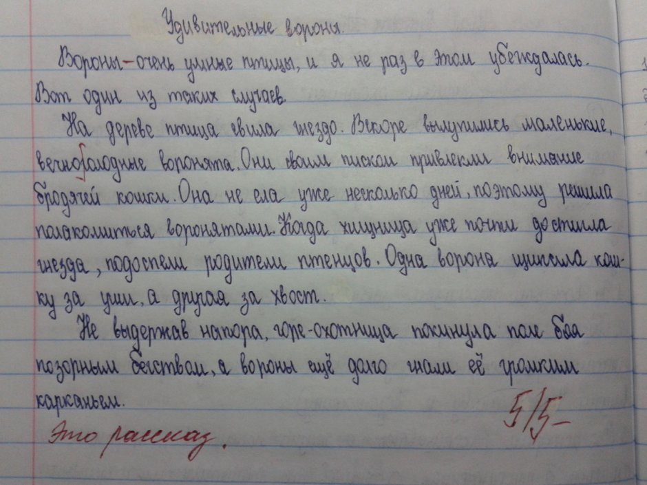 Сундук лофт
