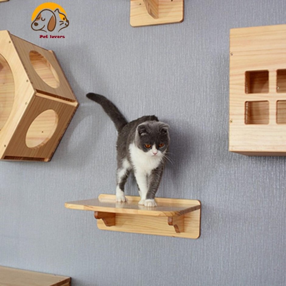 Комплекс лазалка для кошек