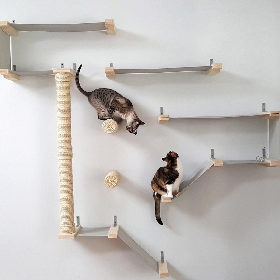 Настенный комплекс для кошек