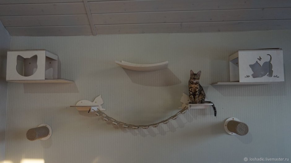 Настенный домик для кота