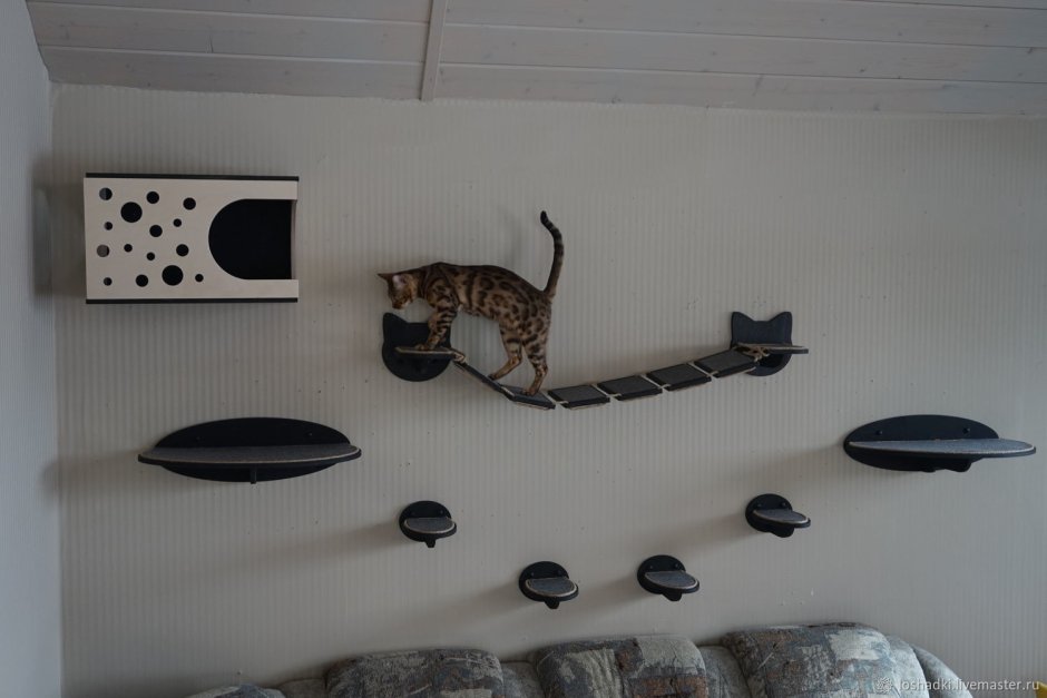 Cat Studio мебель для кошек