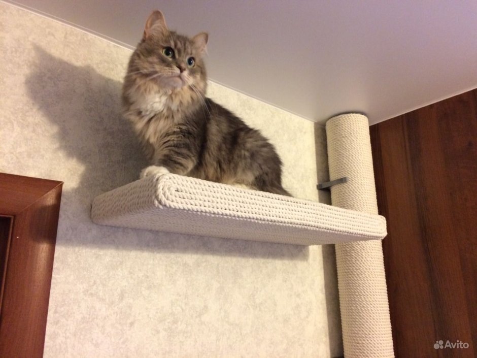 Домик для кота на потолке
