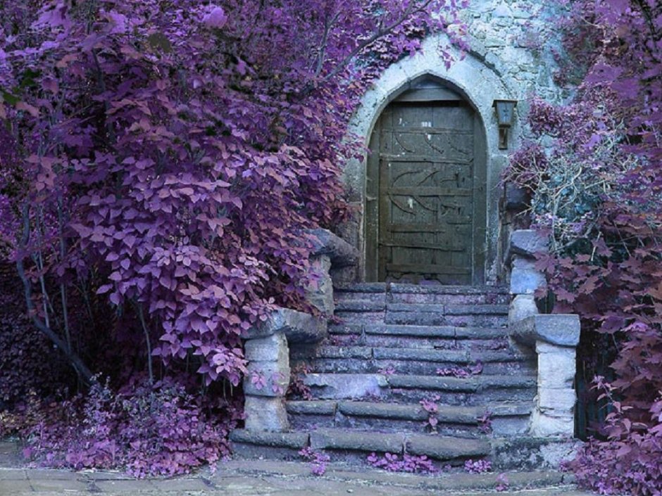 Волшебная дверь