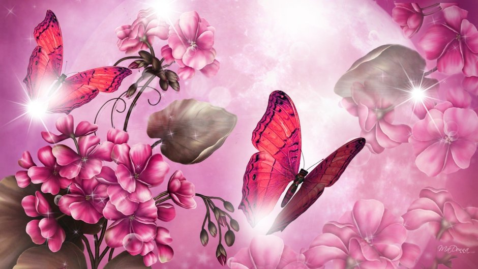 Бабочки цветочки картинки