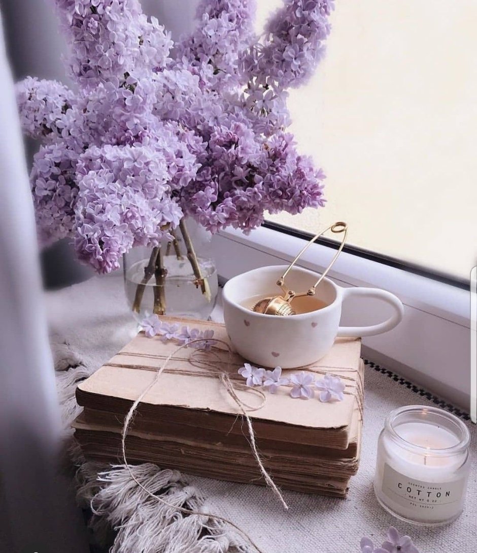 Лаванда Lavender aesthetic