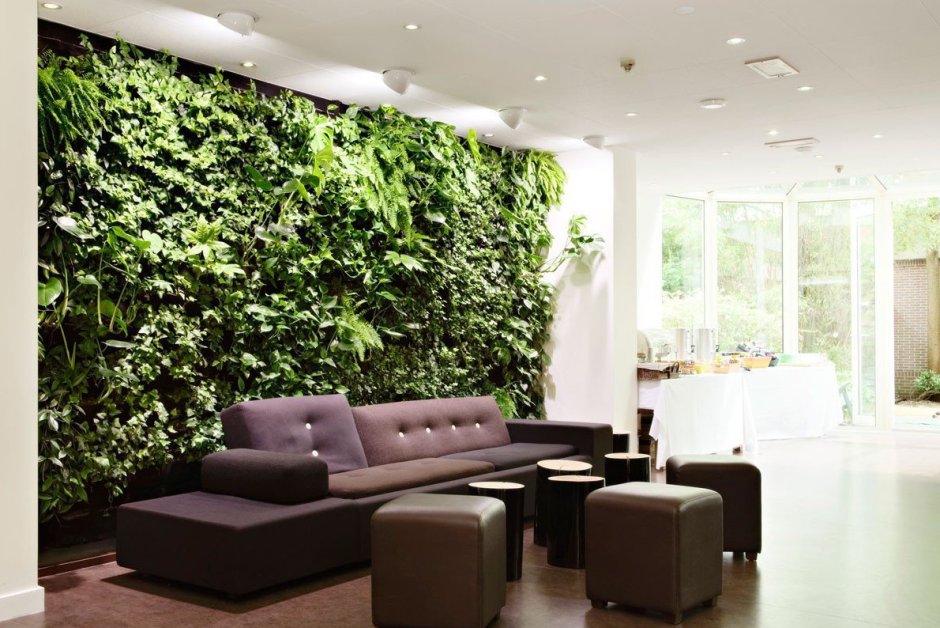 Фитостена джунгли