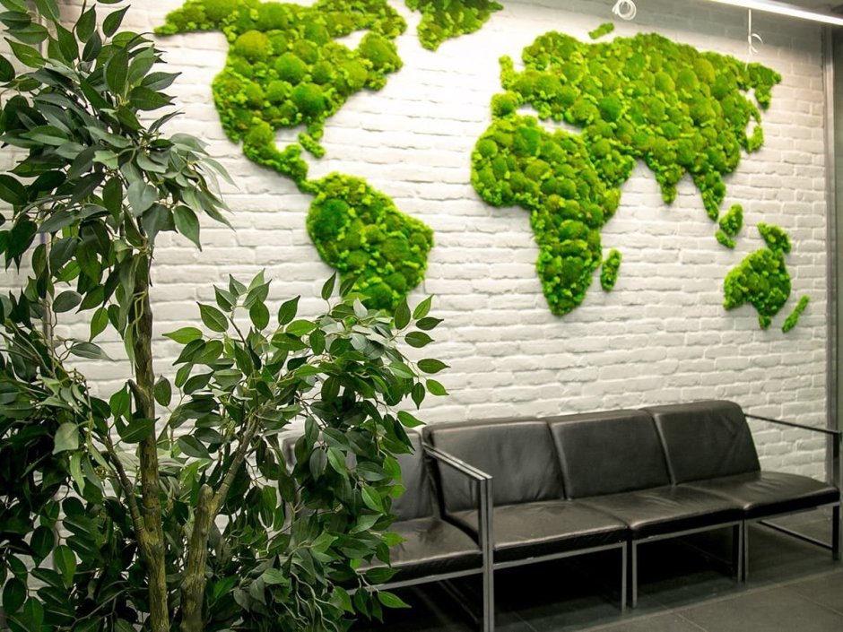 Фитостена с мхом и растениями