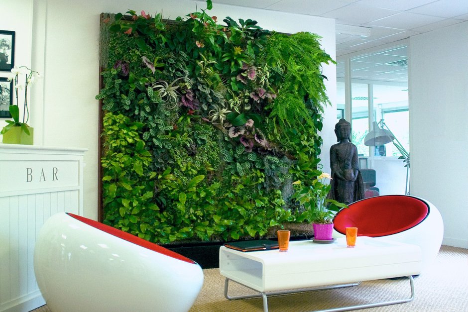 Green Sky фитостены