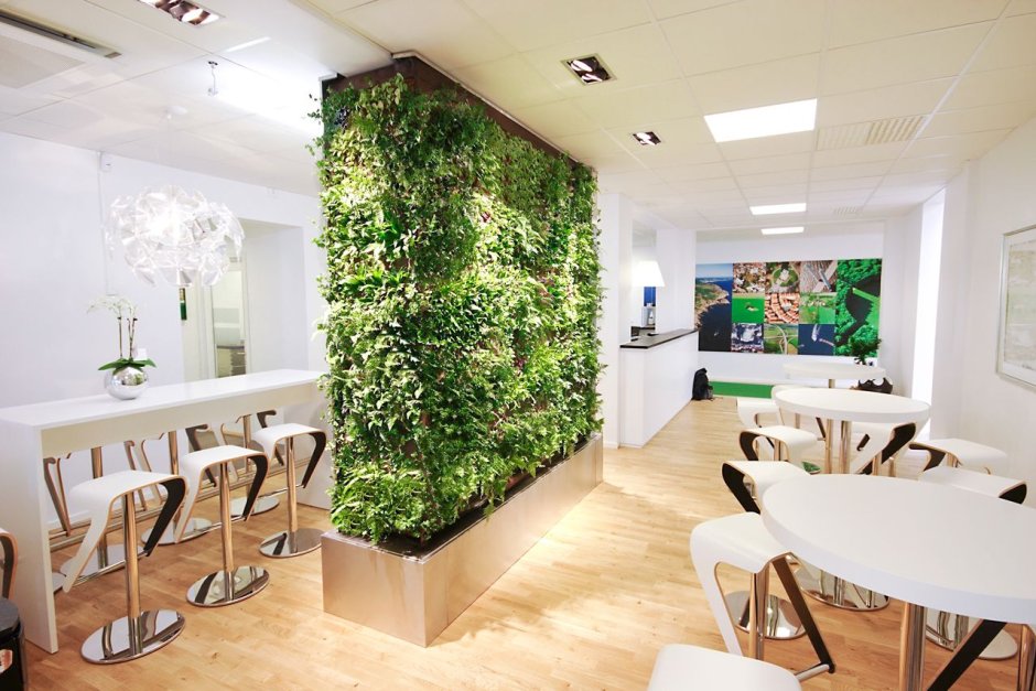 Перегородка с живыми растениями