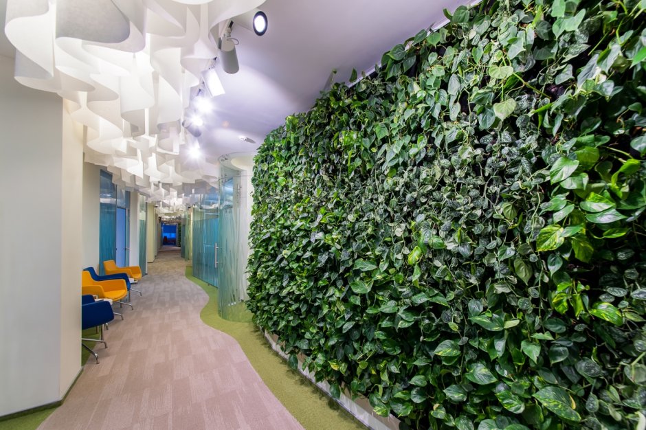 Озеленение Эмеральд