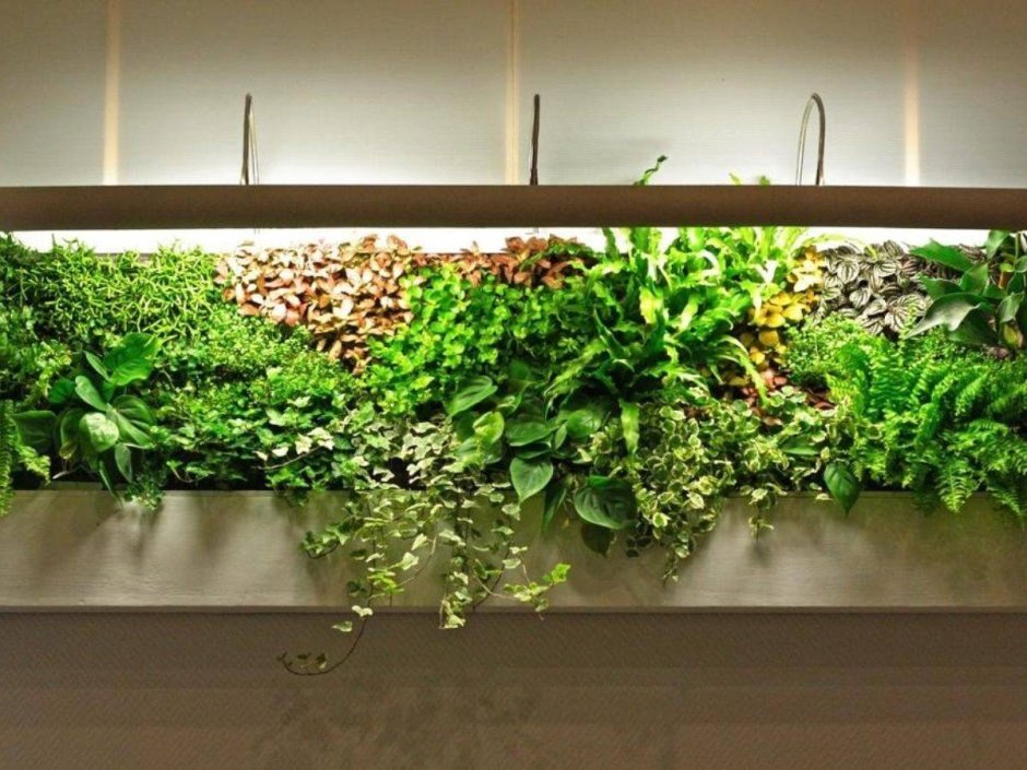 Фитомодули HYDROFALLS фитостены вертикальные сады