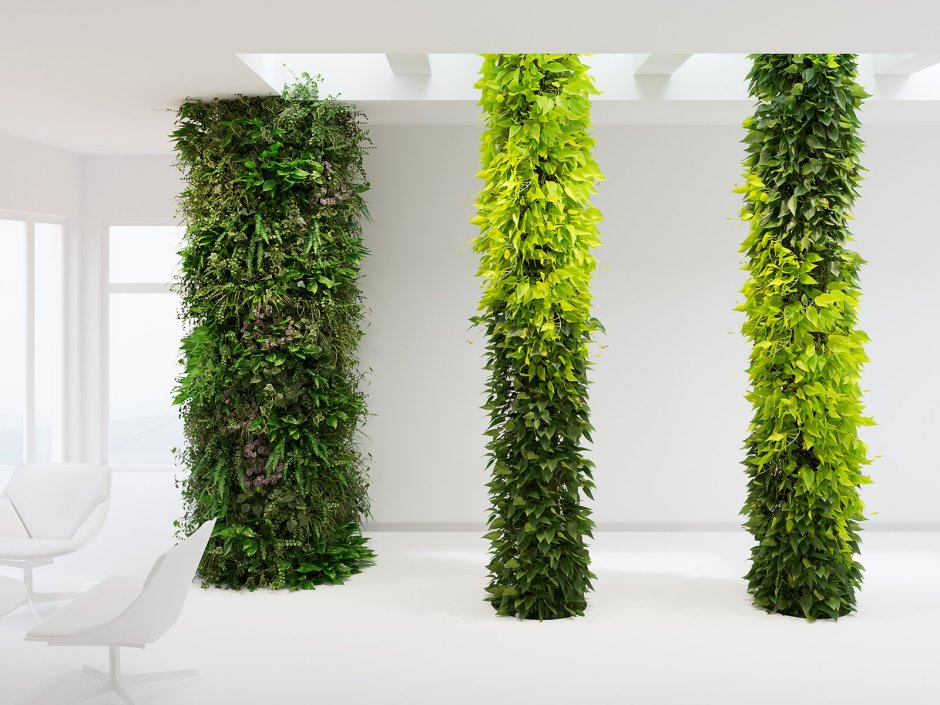 Фитостена 3ds