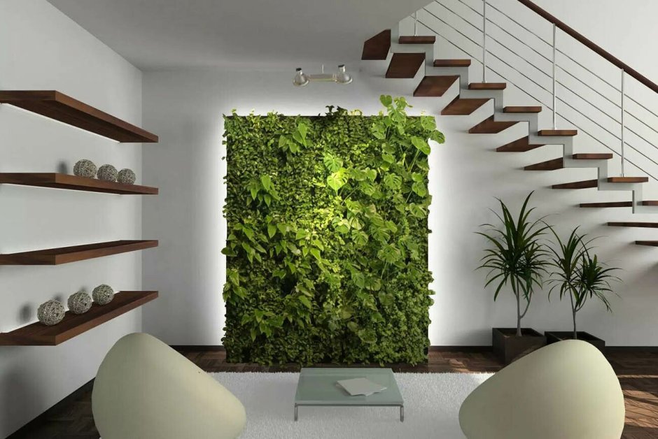 Фитостена из стабилизированного мха