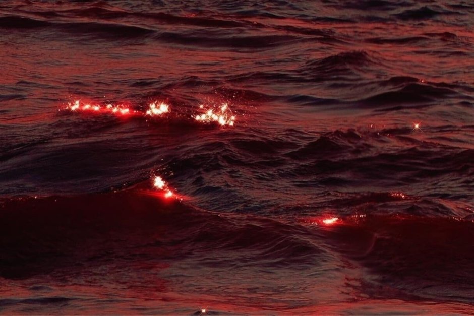Море красного цвета