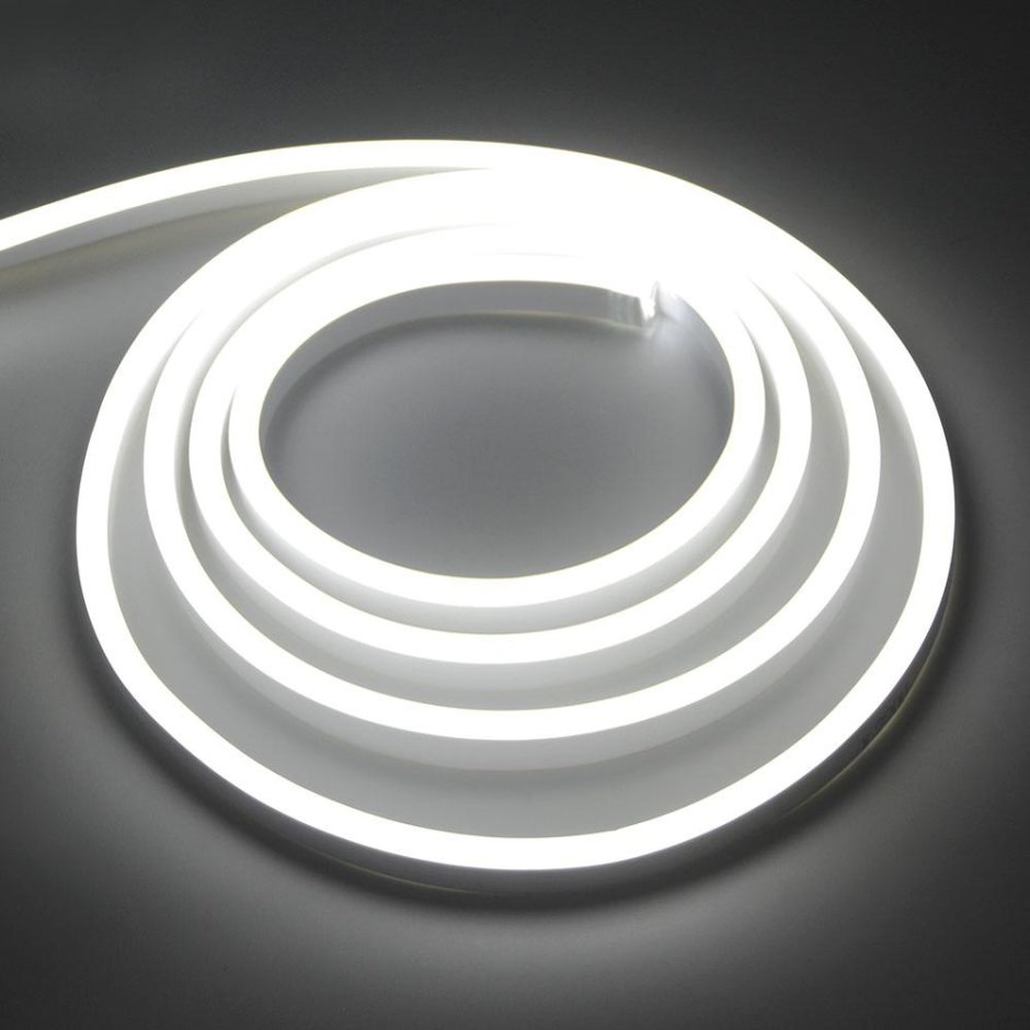 Led Neon 220v