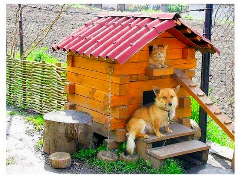 Будка для собаки и кошки двухэтажная