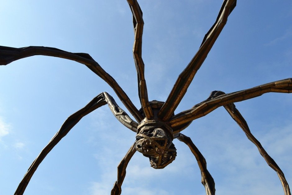 Гигантский паук на дереве