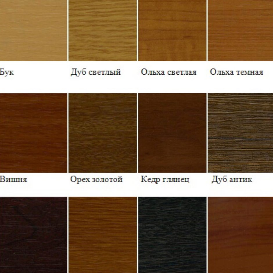 Дуб белфорд и дуб молочный