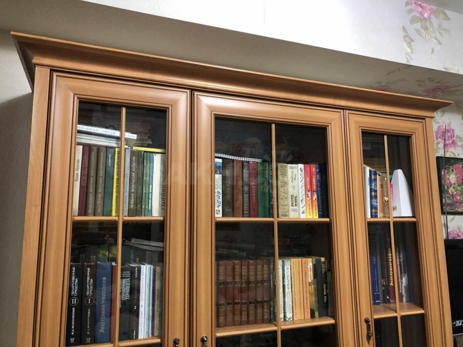 Полки с книгами в библиотеке